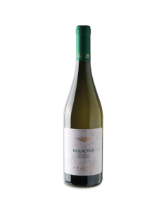 PASTINI FARAONE VERDECA WHITE WINE VALLE D'ITRIA IGP - LT 0.375