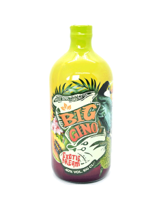 BIG GINO EXOTIC DREAM GIN - LT 1