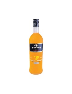 BAGNOLI VODKA ICEBERG AL MELONE - LT 1