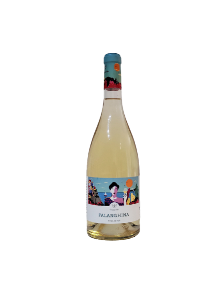 TRICONZA FALANGHINA - LT 0,75