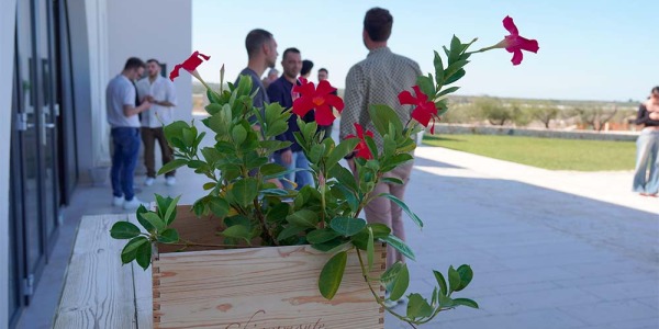 Un Viaggio Sensoriale tra le Eccellenze di Tenute Chiaromonte: Tesori Vinicoli da Scoprire